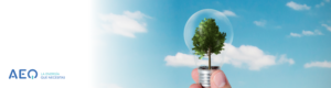 Una bombilla con un árbol dentro para ilustrar los tips de eficiencia energética de AEQ.